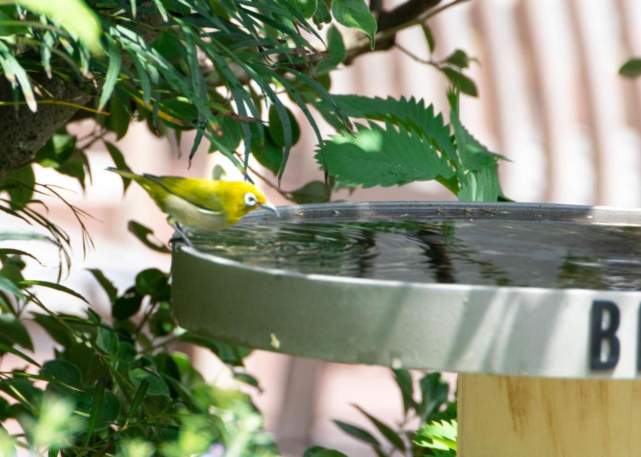 Bird Hotel Kamakura Exterior foto
